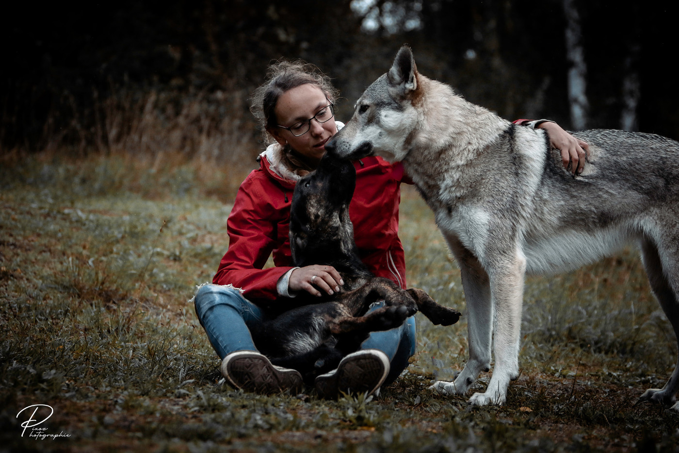 Ça y est, le cycle commence !