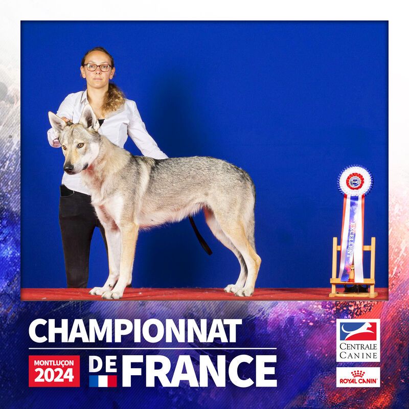 Tout le monde a trouvé sa famille ?